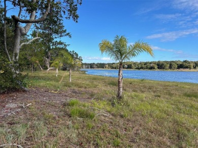 Lake Acreage Sale Pending in Seville, Florida