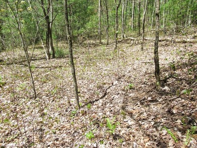 (private lake, pond, creek) Lot Sale Pending in Franklin North Carolina