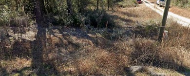 Under contract-accepting backup offers. Great lot in the highly - photo 2