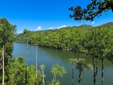 Fontana Lake Acreage For Sale in Bryson City North Carolina