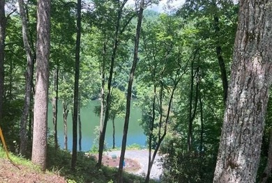 (private lake, pond, coastal) Lot For Sale in Bryson City North Carolina