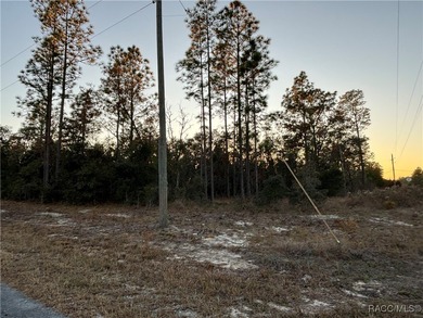 Bonable Lake Lot For Sale in Dunnellon Florida