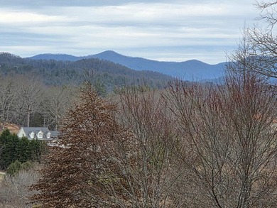 (private lake, pond, coastal) Lot For Sale in Franklin North Carolina