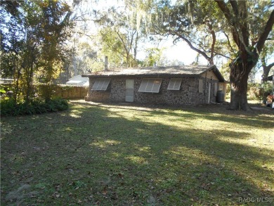 Lake Home For Sale in Lake Panasoffkee, Florida