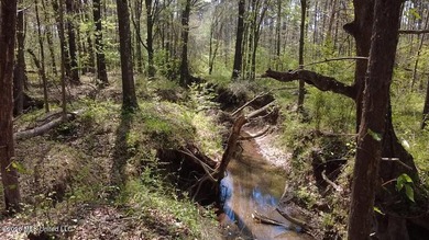 Beautiful 16.89+/- surveyed acre tract located near the Ratliff - photo 11