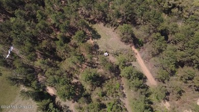 Beautiful 16.89+/- surveyed acre tract located near the Ratliff - photo 12