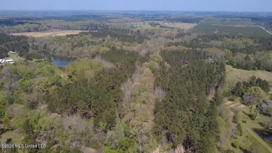 Beautiful 16.89+/- surveyed acre tract located near the Ratliff - photo 13