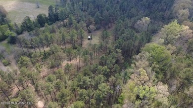 Beautiful 16.89+/- surveyed acre tract located near the Ratliff - photo 14