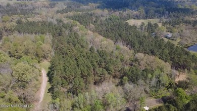 Beautiful 16.89+/- surveyed acre tract located near the Ratliff - photo 15