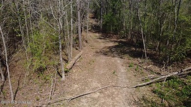 Beautiful 16.89+/- surveyed acre tract located near the Ratliff - photo 17