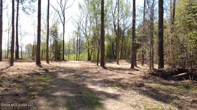 Beautiful 16.89+/- surveyed acre tract located near the Ratliff - photo 18