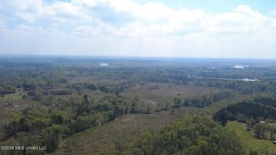 Beautiful 16.89+/- surveyed acre tract located near the Ratliff - photo 19