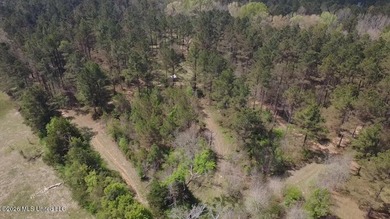 Beautiful 16.89+/- surveyed acre tract located near the Ratliff - photo 20