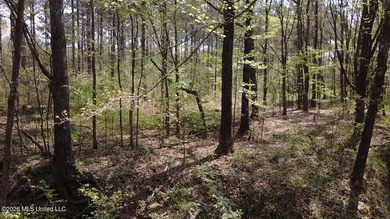 Beautiful 16.89+/- surveyed acre tract located near the Ratliff - photo 21