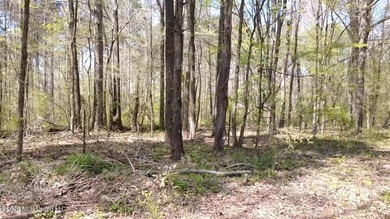Beautiful 16.89+/- surveyed acre tract located near the Ratliff - photo 22