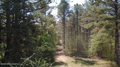 Beautiful 16.89+/- surveyed acre tract located near the Ratliff - photo 23