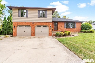 Lake Home For Sale in Chatham, Illinois