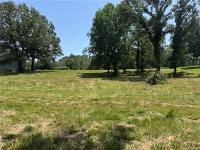 Discover your dream home in the White River Valley! This Fully - photo 17