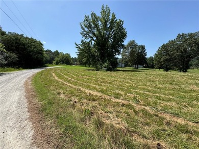 Discover your dream home in the White River Valley! This Fully - photo 18