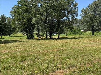 Discover your dream home in the White River Valley! This Fully - photo 20