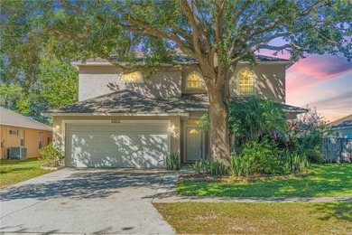 Lake Hooker Home For Sale in Seffner Florida