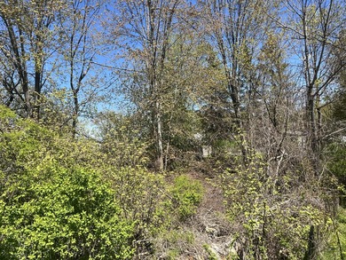 Build your Up North getaway on this beautiful double lot with - photo 1