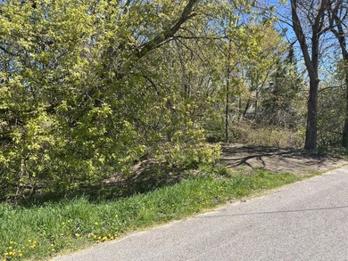 Build your Up North getaway on this beautiful double lot with - photo 2
