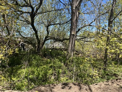Build your Up North getaway on this beautiful double lot with - photo 3