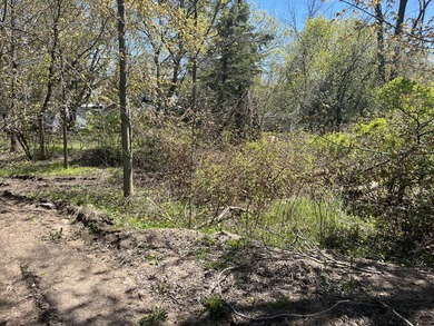 Build your Up North getaway on this beautiful double lot with - photo 4
