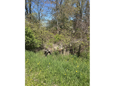 Build your Up North getaway on this beautiful double lot with - photo 6