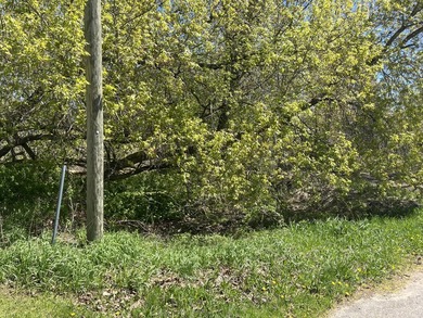 Build your Up North getaway on this beautiful double lot with - photo 7