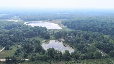 Lake Home For Sale in Bitely, Michigan