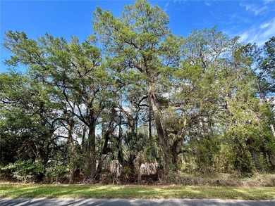Lake Elizabeth - Alachua County Acreage For Sale in Earleton Florida