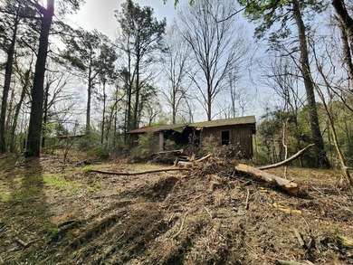 Introducing a 2 +/- acre tract in Shelby County, TX, with a - photo 11