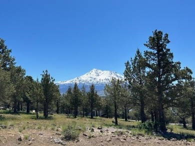  Lot For Sale in Weed California