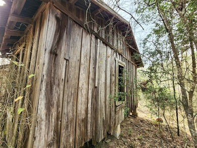 Introducing a 2 +/- acre tract in Shelby County, TX, with a - photo 12