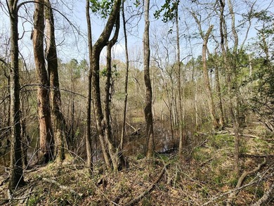 Introducing a 2 +/- acre tract in Shelby County, TX, with a - photo 13