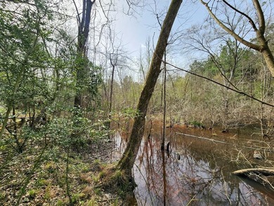 Introducing a 2 +/- acre tract in Shelby County, TX, with a - photo 14