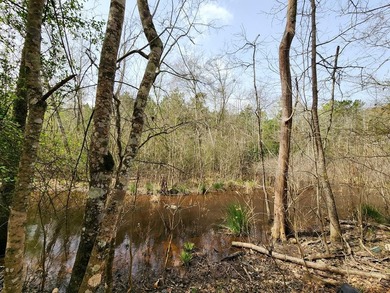 Introducing a 2 +/- acre tract in Shelby County, TX, with a - photo 15