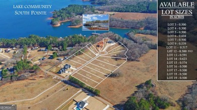 Lake Lot For Sale in Hartwell, Georgia