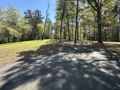 Lake Jacksonville 3B2B home with boathouse & beautiful view of - photo 29