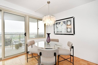 Mid floor, all new, south facing large 1 bedroom unit with - photo 8