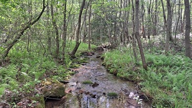 Lake Acreage For Sale in Rockwood, Tennessee