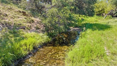 46+ acre unrestricted acre commercial opportunity situated in - photo 18