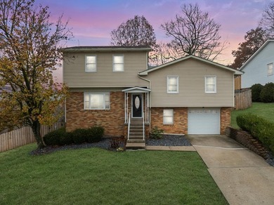 (private lake, pond, creek) Home For Sale in Wheeling West Virginia