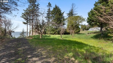 Just south of Port Orford, this exceptional 15-acre ocean-view - photo 31
