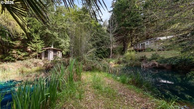Just south of Port Orford, this exceptional 15-acre ocean-view - photo 32