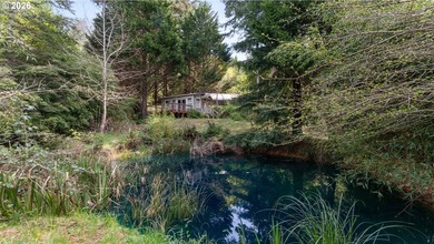 Just south of Port Orford, this exceptional 15-acre ocean-view - photo 34