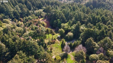 Just south of Port Orford, this exceptional 15-acre ocean-view - photo 41