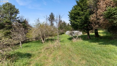 Just south of Port Orford, this exceptional 15-acre ocean-view - photo 45